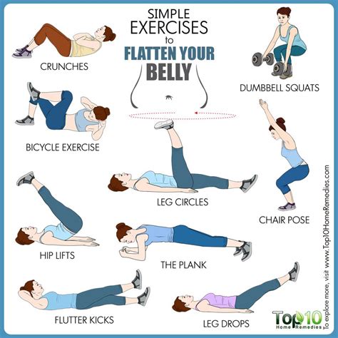 eva fitness belly fat|Easy Exercise To Lose Belly Fat At Home For Beginners .